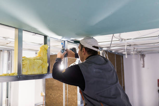 Best Residential Insulation in St Leo, FL