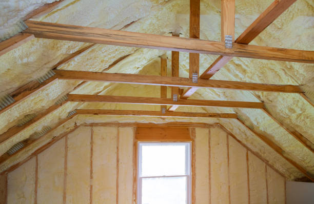 Reliable St Leo, FL Insulation Contractor Solutions