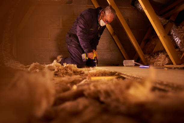 Best Cellulose Insulation in St Leo, FL